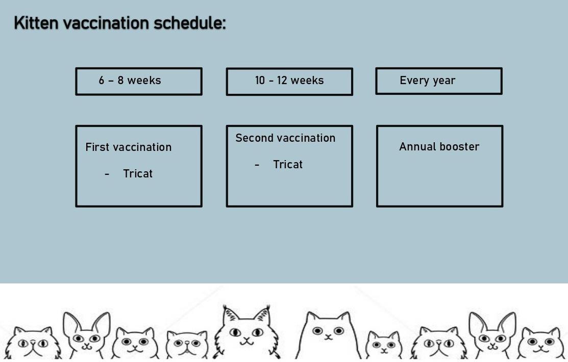 Kitten Vaccinations