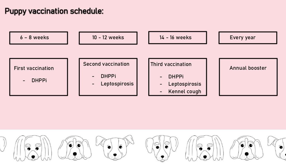Puppy Vaccinations