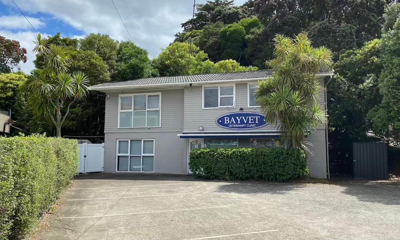 Bayvet Clinic